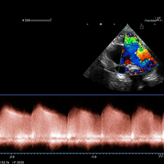 심장·신장 내과
